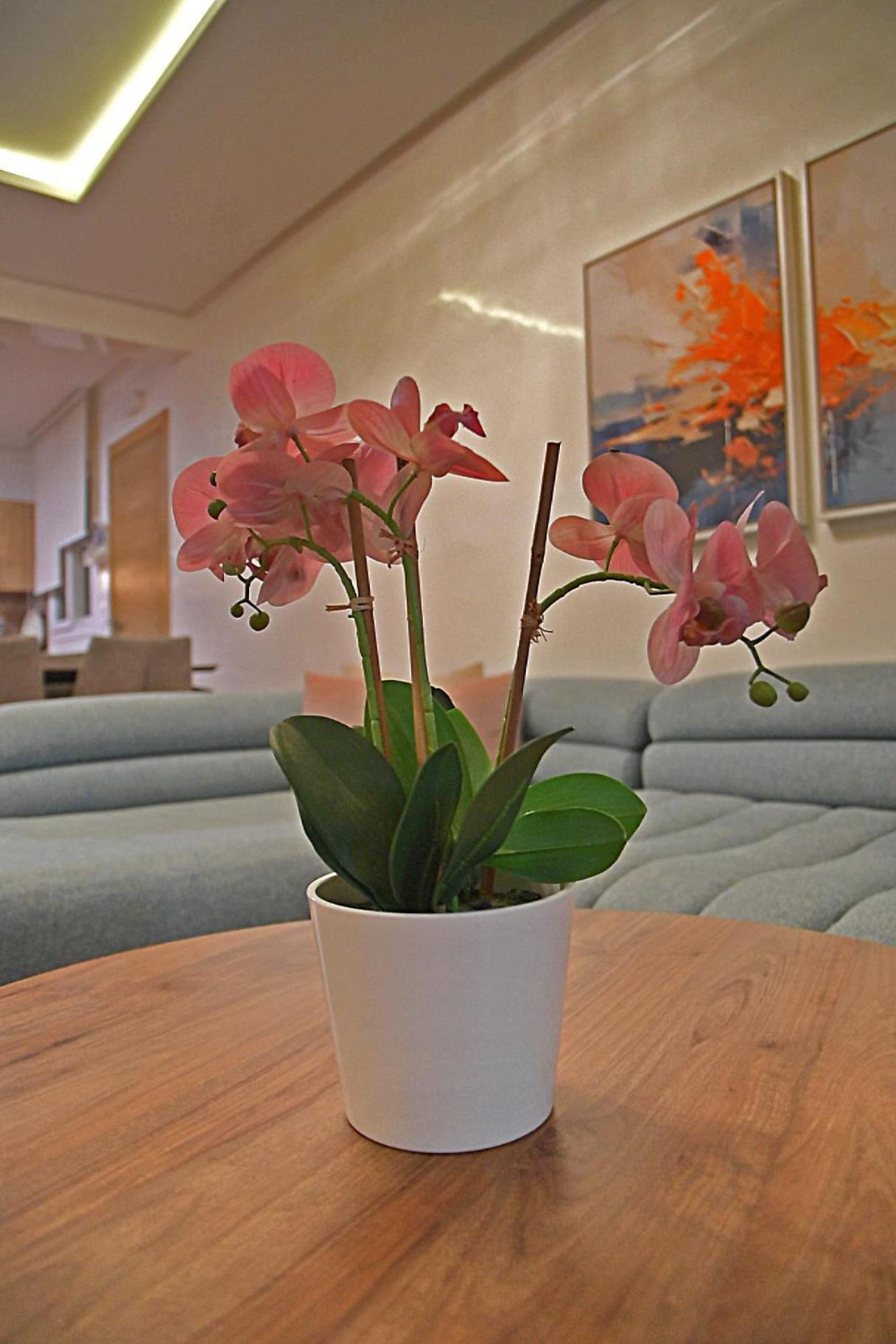 Inhome Apartment Cabo Negro Luaran gambar